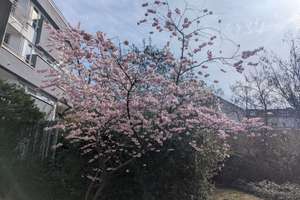 Property thumbnail 12