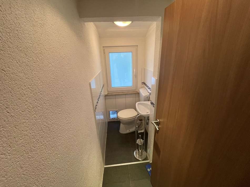 DG WC