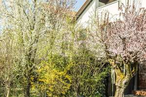 Viel Platz für die Familie:  Reihenhaus mit schönem Südgarten in ruhiger Wohnlage – Die vollständige Adresse der Immobilie erhältst du vom Anbieter., 81929 Daglfing, München – Vorschaubild 8