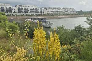 Wohnung im Bau, stadtnah im Hafenquartier Graf Bismark mit Balkon am Yachthafen/Kanal für 2 Personen – Johannes Rau Alle 34, 45889 Bismarck, Gelsenkirchen – Vorschaubild 48