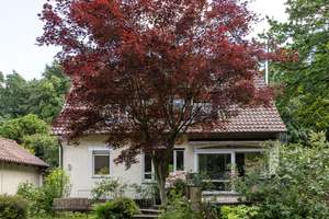 Freistehendes EFH mit großem Garten im Grünen – Bielefelder Westen, uninah – Die vollständige Adresse der Immobilie erhältst du vom Anbieter., 33619 Schildesche, Bielefeld – Vorschaubild 3
