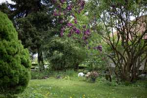 Großzügiges Wohlfühl-Haus mit wunderschönem Gartenidyll in Probstried – Oberallgäu (Kreis) – Vorschaubild 3