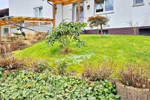 Großes landwirtschaftliches Anwesen mit 2 Häusern, Nebengebäuden, Wohnmobilstellplätzen etc. – Odenwaldkreis – Vorschaubild 3