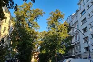 Perfekt saniert: urbaner Stuck-Altbau am Winterfeldtplatz – 10781 Schöneberg, Berlin – Vorschaubild 2