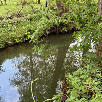Historische Hofstelle in Burg (Spreewald) direkt am großen Wildbahnfließ zu verkaufen!