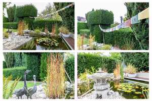 1-2-Familien-Haus mit wunderschönem Garten – Ludwig-Erhard-Straße 48, 63486 Bruchköbel – Vorschaubild 2