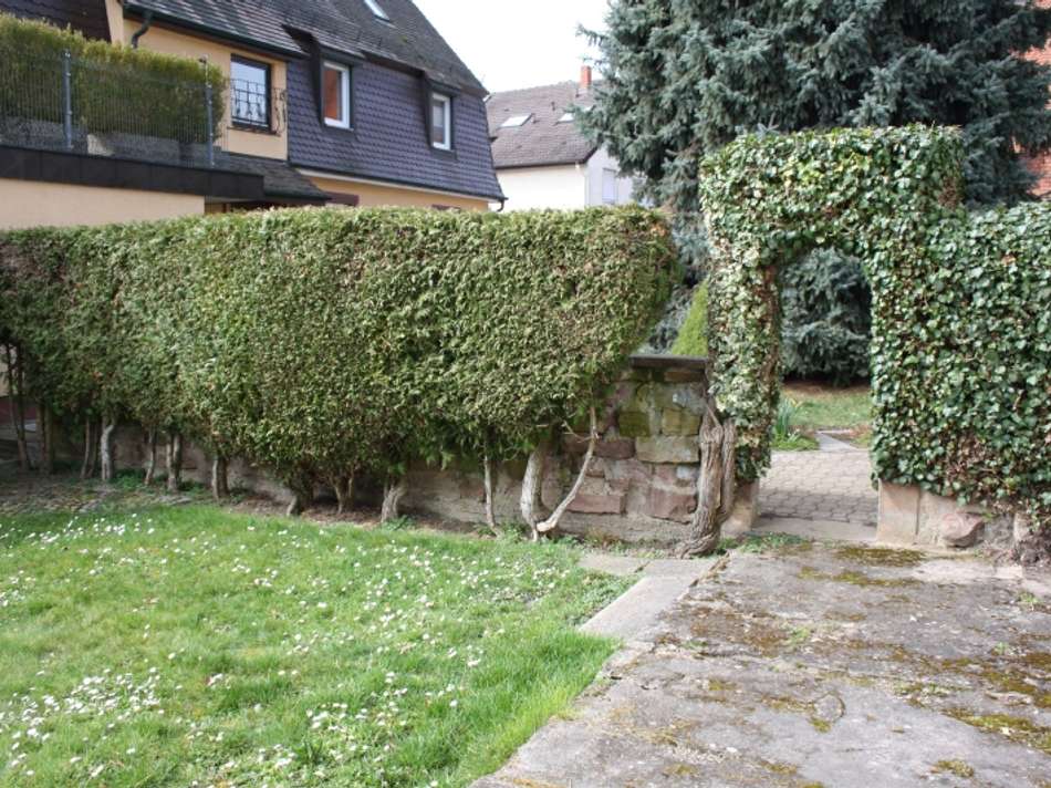 Garten Eingang