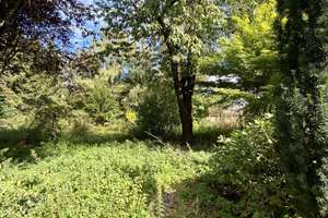 LIEBHABEROBJEKT MIT VERWUNSCHENEM GARTENPARADIES! – 44359 Schwieringhausen, Dortmund – Vorschaubild 6