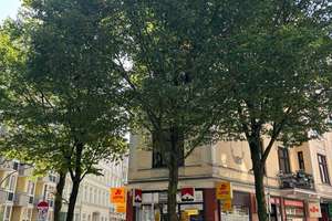 Von privat! Seltene Gründerzeit Juwelen ETW. in begehrter Lage Zentrum von Hamburg-Neustadt – Pilatuspool 1, 20355 Neustadt, Hamburg – Vorschaubild 21