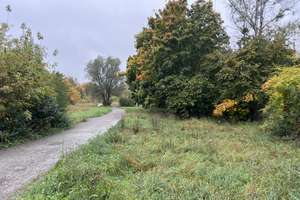 Property thumbnail 25