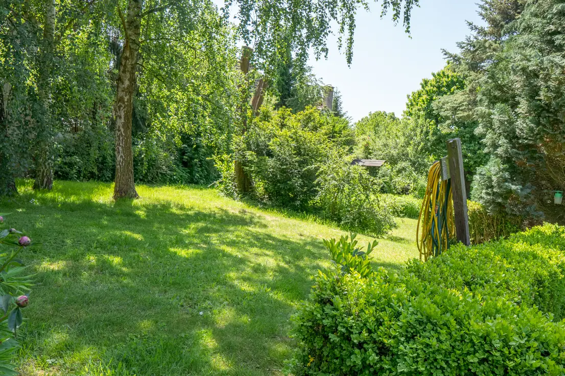 Weitläufiger Garten