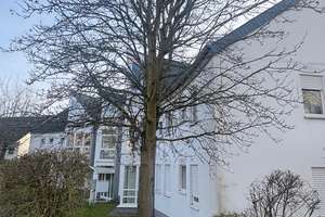 Charmante 3-Zimmer Wohnung im 1. OG in Wiesbaden-Sonnenberg – Koriander 3, 65191 Sonnenberg, Wiesbaden – Vorschaubild 2