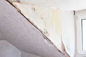 431 - Schönes Zweifamilienhaus mit ausgebautem DG, großem Garten und Garage in Wuppertal – Am Jagdhaus 7X, 42113 Wuppertal – Vorschaubild 46