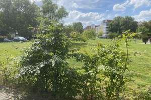 ERSTBEZUG ! 3 Zimmer-Loft-Wohnung in Magdeburg Buckau zu vermieten – 39104 Buckau, Magdeburg – Vorschaubild 2