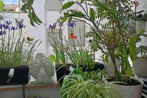 ++ Pforzheim zentrumsnah ++ helle 3-Zimmer-Wohnung ++ Balkon & Kellerraum ++ – Die vollständige Adresse der Immobilie erhältst du vom Anbieter., 75175 Oststadt, Pforzheim – Vorschaubild 8
