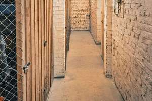 Property thumbnail 16