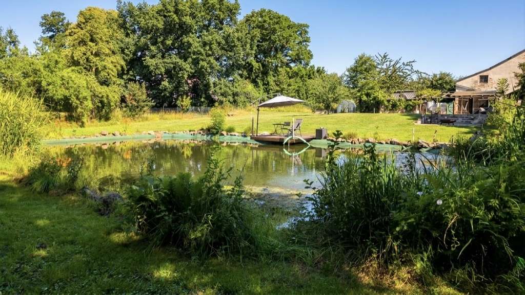 Immobilie in Neuental - Neuental, EFH + Nebengeb. - Bild 3