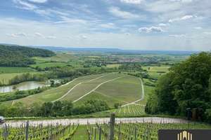 Refugium im Naturpark Steigerwald – Die vollständige Adresse der Immobilie erhältst du vom Anbieter., 97516 Oberschwarzach – Vorschaubild 42