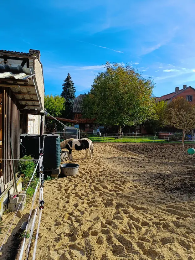 Pferdebereich des Anwesens