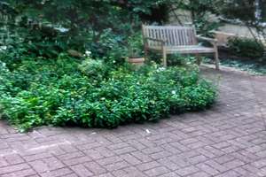 Property thumbnail 15