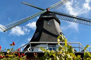Historische Mühle | Bereit für frischen Wind – Die vollständige Adresse der Immobilie erhältst du vom Anbieter., 25704 Meldorf – Vorschaubild 13
