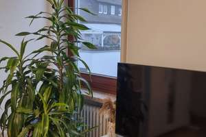 Helles WG mit freundlichen Mitbewohnern – Richterstraße 4, 70567 Möhringen-Mitte, Stuttgart – Vorschaubild 4