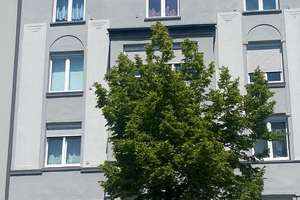 Citynah wohnen, ruhig genießen: 105 m² mit neuer Traumküche, Stellplatz & Top-Renovierung! – Die vollständige Adresse der Immobilie erhältst du vom Anbieter., 44147 Hafen, Dortmund – Vorschaubild 7
