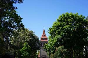 Property thumbnail 11