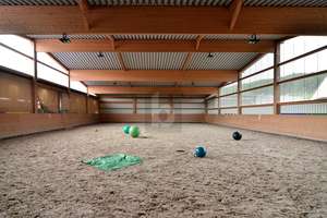 PFERDERANCH, REITANLAGE, TRAUMHAUS, SPITZENPREIS – Die vollständige Adresse der Immobilie erhältst du vom Anbieter., 55767 Meckenbach – Vorschaubild 6