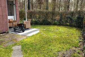 Kapitalanleger gesucht für 3 - Zi-ETW mit Terrasse und Gartenanteil 

Marienwerder - Waldrandlage