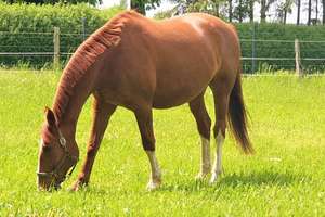 Property thumbnail 51