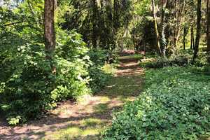 **Reduziert**Wohnanlage im Westerwald – Westerwaldkreis – Vorschaubild 12