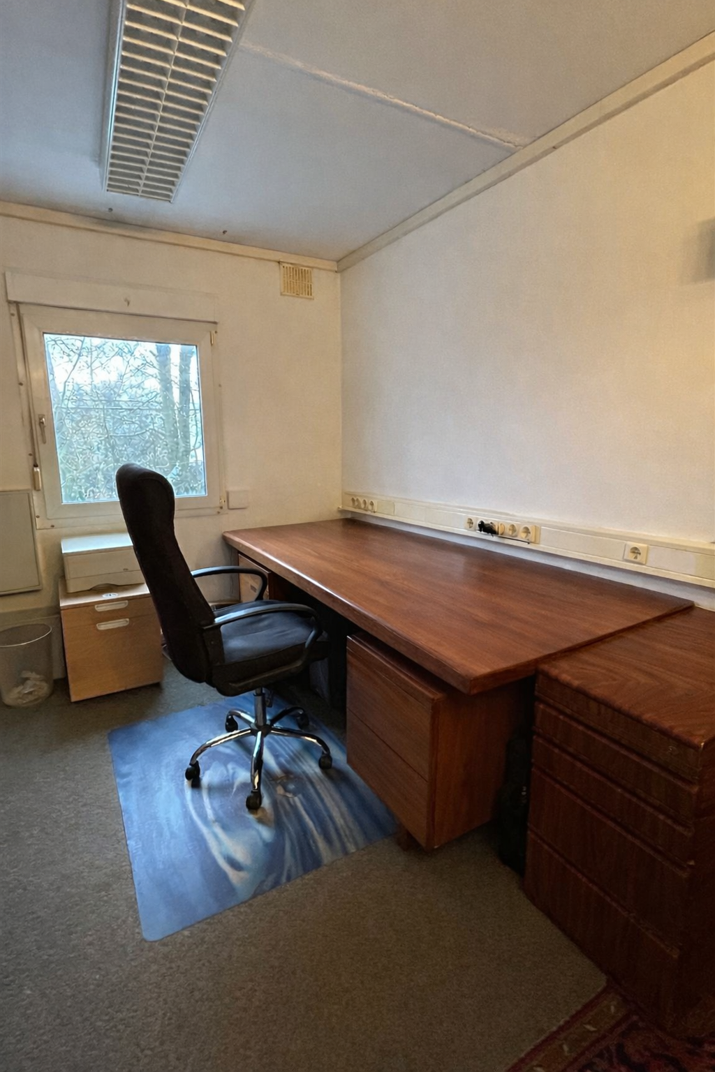 Immobilie in Daxweiler - Großes Waldgrundstück mit Gebäude und Bürocontainer - Bild 1