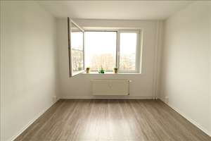 **Sanierte Wohnung in zentraler Lage** – Breiter Weg 39, 39104 Altstadt, Magdeburg – Vorschaubild 3