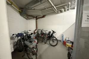 Helles Lichtdurchflutetes Appartement in Höhenlage am Kottenforst – Hallestraße 50, 53125 Brüser Berg, Bonn – Vorschaubild 9