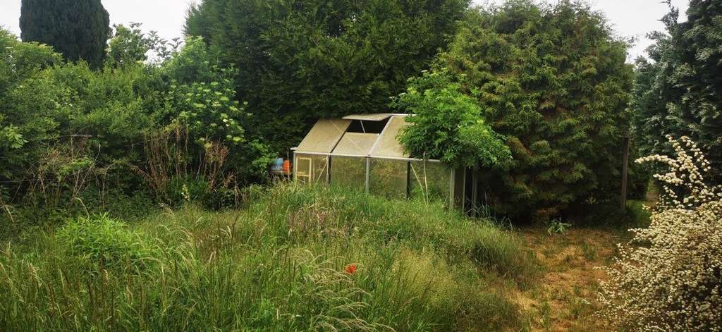 Immobilie in Barleben - ...kleines Häuschen mit Potential auf großem Grundstück!!! - Bild 4