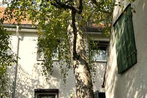 Ein Haus für die kleine Familie – Wachtelweg 4, 6130 Damaschkestraße, Halle (Saale) – Vorschaubild 12