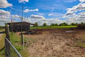 +Gehöft mit Zweifamilienhaus -Gewerbeflächen ca.300QM-Landwirtschaftsflächen ca.6500QM+ – Spree-Neiße (Kreis) – Vorschaubild 10
