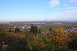 " ... vom Feinsten ... " – Steinbrunner Weg 18, 67271 Battenberg (Pfalz) – Vorschaubild 3