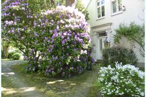 TOPZUSTAND: Repräsentative historische Stadtvilla mit Gästehaus u Pool auf einem parkartigen Areal ! – Die vollständige Adresse der Immobilie erhältst du vom Anbieter., 25813 Husum – Vorschaubild 27