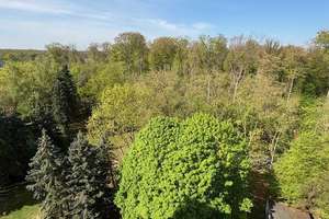 Sehr gepflegte 3 ZKB -ETW in schöner Waldrandlage mit freiem Blick ***** – 63073 Bieber, Offenbach am Main – Vorschaubild 2