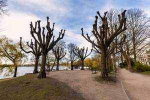 Property thumbnail 48