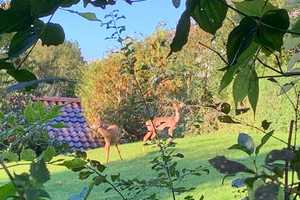 Liebhaberobjekt mit Elbblick – Reetdachhaus in Bestlage von Glückstadt – Grenzritt 13, 25348 Steinburg (Kreis) – Vorschaubild 50
