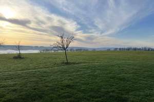 Natur Pur! Modernes Wohnen mit unverbaubarem Blick ins Grüne – Die vollständige Adresse der Immobilie erhältst du vom Anbieter., 56818 Klotten – Vorschaubild 34
