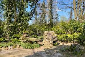 Büro/Praxisräume mit Betreiberwohnung sowie Einfamilienhaus zu verkaufen oder zu vermieten. – Liebenau, Nienburg (Weser) (Kreis), 31618 Nienburg (Weser) (Kreis) – Vorschaubild 7
