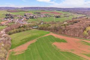 Pferdeimmobilie im Saarland zu verkaufen – Gestüt in malerischer Natur mit moderner Reithalle! – Die vollständige Adresse der Immobilie erhältst du vom Anbieter., 66687 Wadern – Vorschaubild 10