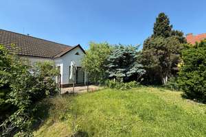 Grünes Familienidyll in Berlin-Marzahn – Ihr neues Zuhause mit Herz & Potenzial