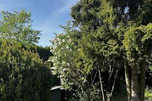 Property thumbnail 21