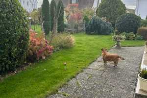 Superschöne DHH mit parkähnlichem Garten – Junggartenstr. 16, 85055 Ingolstadt – Vorschaubild 7