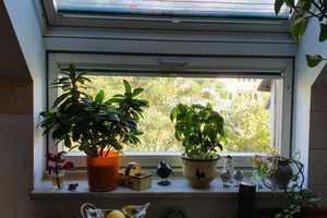 Property thumbnail 14